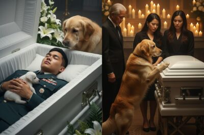 Aso Patuloy na Tahol sa Kabaong—Hanggang May Nangyaring Hindi Inaasahan