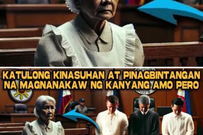 “Ikaw ang Magnanakaw!” Sigaw ng Amo Niya. Pero Nang Makita Siya ng Hukom, Bumaba Ito at Niyakap ang Akusado/th