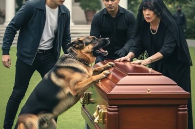 WALANG TIGIL SA PAGTAHOL ANG ASO SA KABAONG NG AMO NIYA — NANG BUKSAN/th